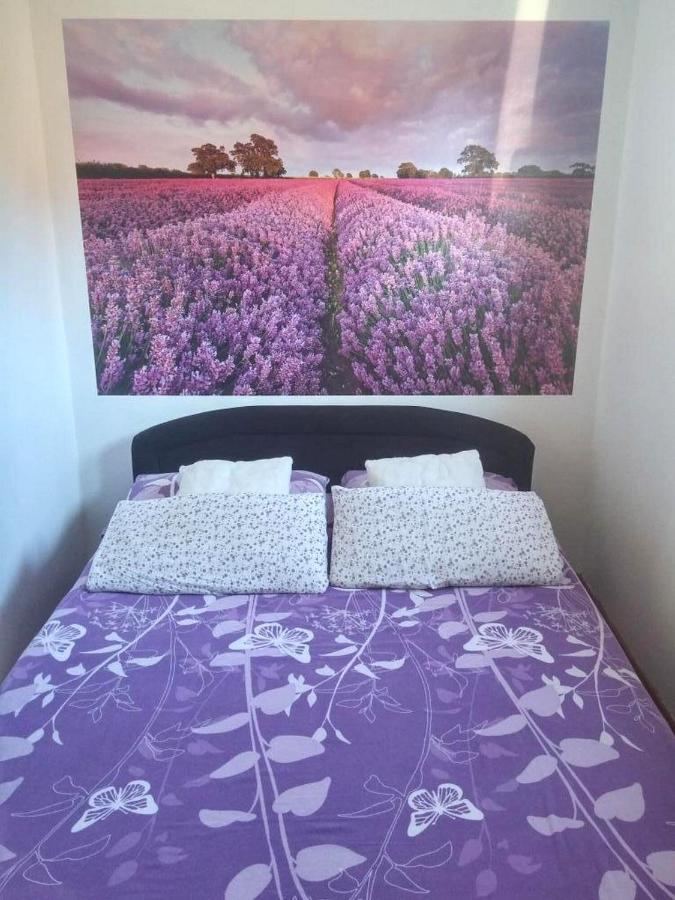 Apartments And Room Lotus ตรีบูนย์ ภายนอก รูปภาพ